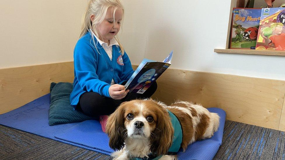 Kind liest Hund etwas vor